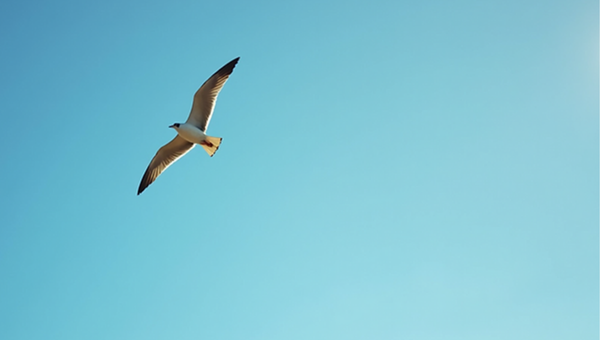 Breaking Free: Overcoming Our Limiting Mindsets to Achieve Greatness