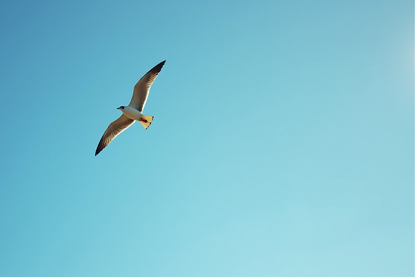 Breaking Free: Overcoming Our Limiting Mindsets to Achieve Greatness